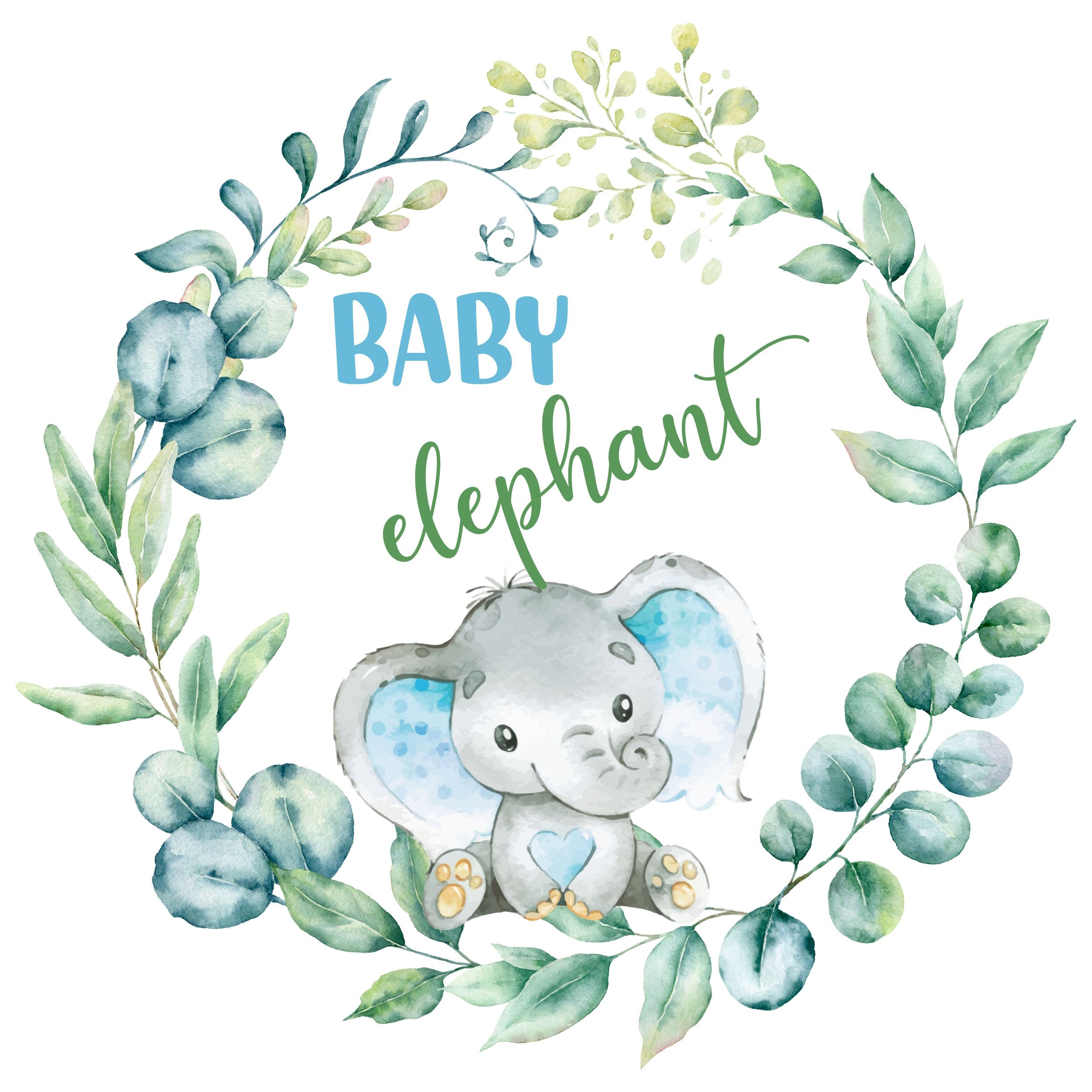 Boys Elephant