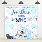 Winter Snow Theme Birthday Backdrop